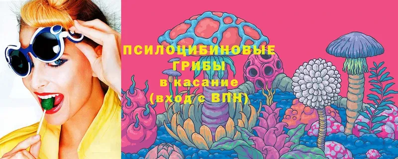 OMG ссылки  Валуйки  Галлюциногенные грибы Magic Shrooms 